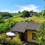 Zangl Am Seggauberg - Suedsteiermark Holiday home *