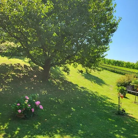 Vakantiehuis Zangl Am Seggauberg - Suedsteiermark