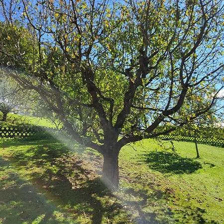 Zangl Am Seggauberg - Suedsteiermark Casa de Férias Leibnitz