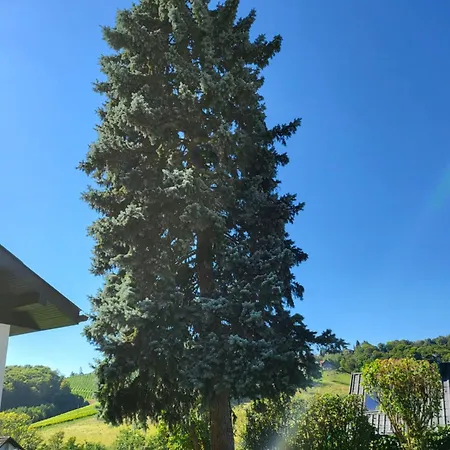 Zangl Am Seggauberg - Suedsteiermark Casa de Férias *