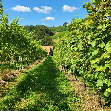 Zangl Am Seggauberg - Suedsteiermark * Leibnitz