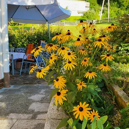 Zangl Am Seggauberg - Suedsteiermark Leibnitz