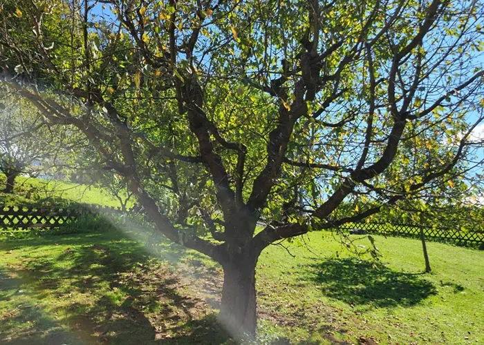 Zangl Am Seggauberg - Suedsteiermark بيت للعطل ليبنيتز