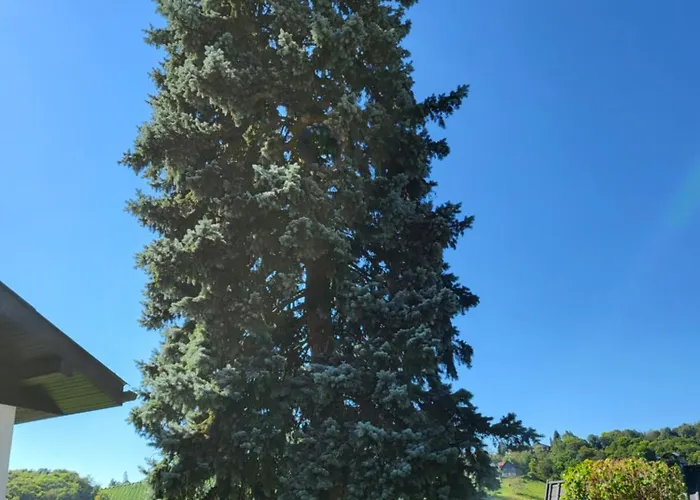 Zangl Am Seggauberg - Suedsteiermark بيت للعطل *