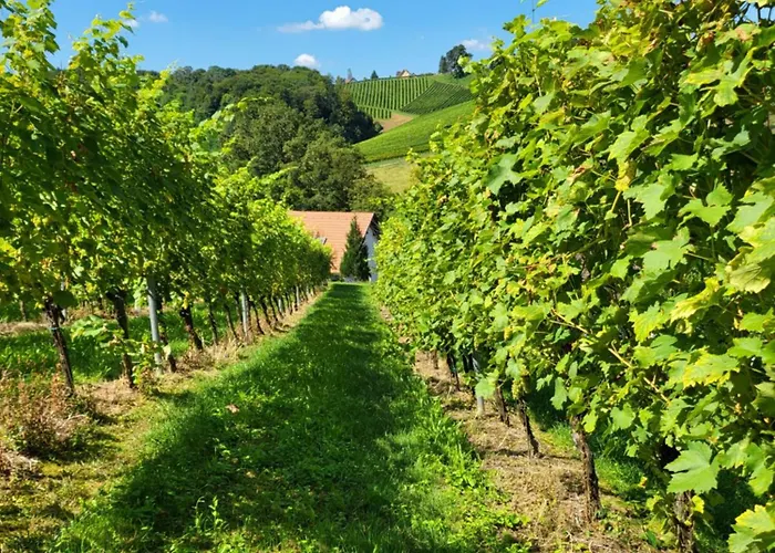 Zangl Am Seggauberg - Suedsteiermark * ليبنيتز