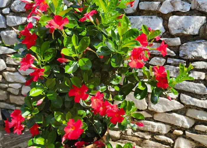 بيت للعطل Zangl Am Seggauberg - Suedsteiermark