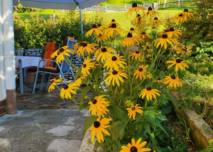 Zangl Am Seggauberg - Suedsteiermark Leibnitz